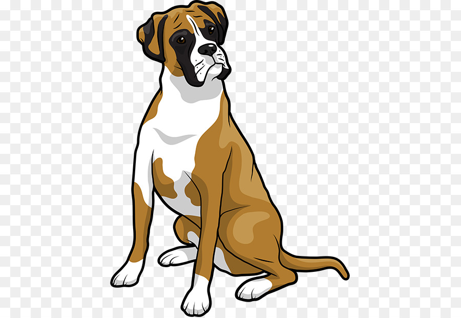 Leo the boxer